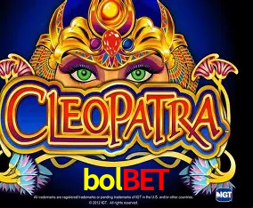 bolbet Curitiba - Live Status